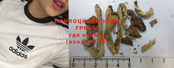 прущие крисы Михайлов