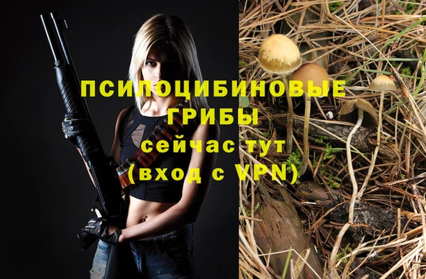 MESCALINE Михайловск