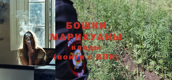 прущие крисы Михайлов