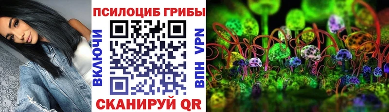 Галлюциногенные грибы Psilocybine cubensis  МЕГА вход  Нестеровская  где продают наркотики 